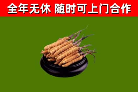 广昌县烟酒回收冬虫夏草.jpg